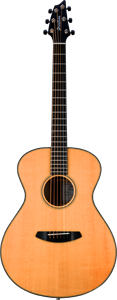 Breedlove guitar small
