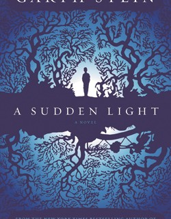 ASuddenLight